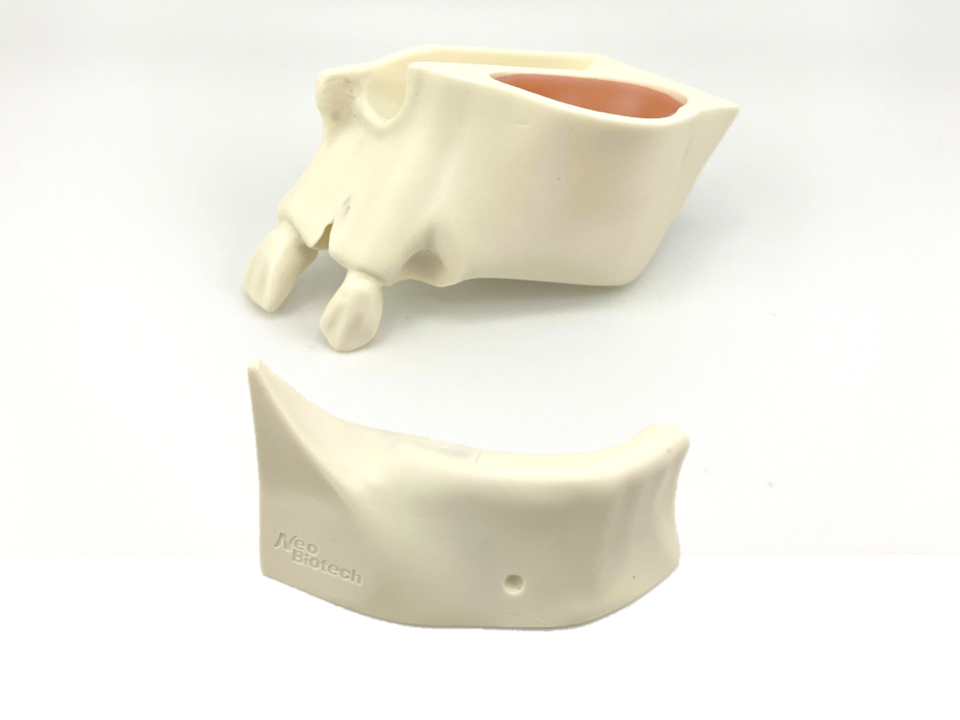 Neobiotech 実習用模型